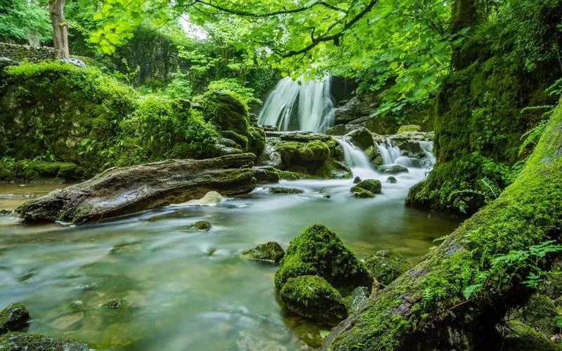 稳定性高质量先进